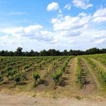Agriturismo Vigna Sul Lago Montefiascone Luaran gambar