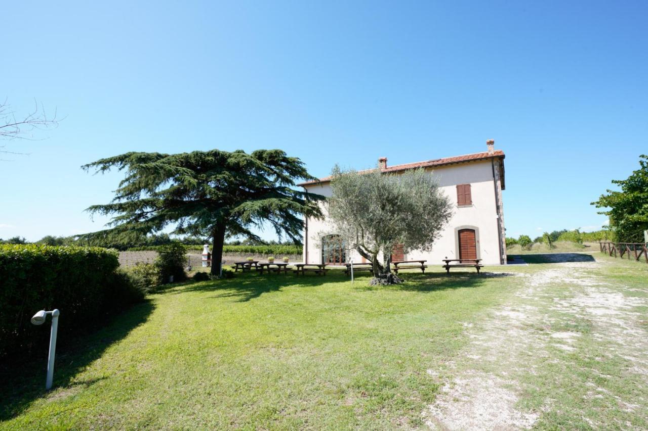Agriturismo Vigna Sul Lago Montefiascone Luaran gambar