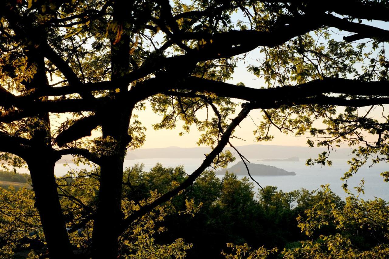 Agriturismo Vigna Sul Lago Montefiascone Luaran gambar